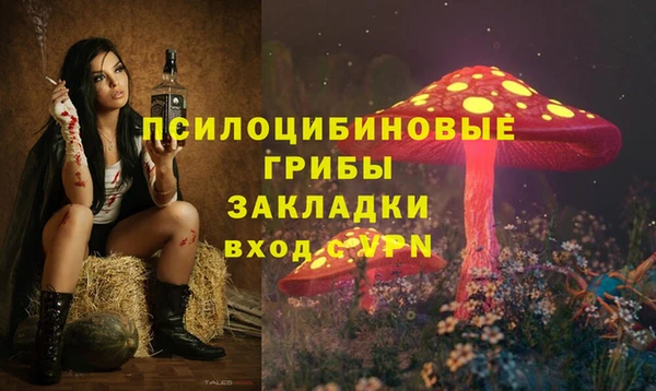 дурь Арсеньев