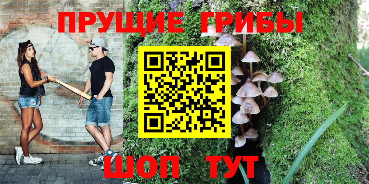 Псилоцибиновые грибы Cubensis Новый Уренгой